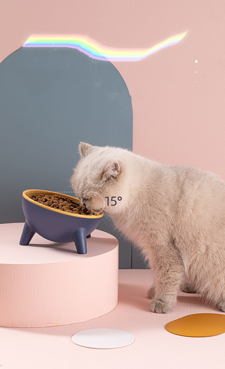 Elevated Ergonomic Feeding Bowl with Stand