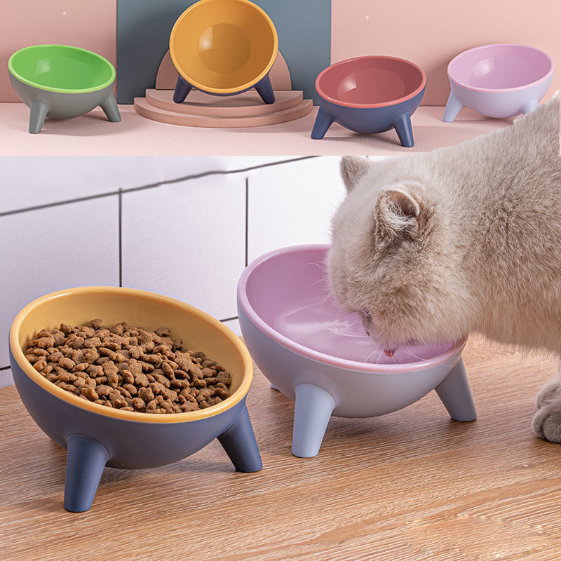 Elevated Ergonomic Feeding Bowl with Stand