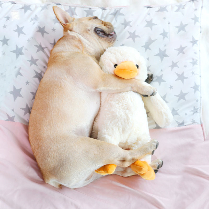 Plush Squeaky Duck Toy